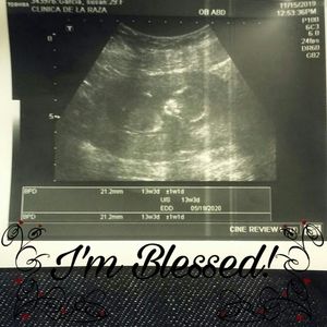 Meet your Posher, Hector